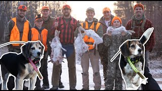 Rabbit Hunting with Beagles | Northern WI Snowshoe Hare Hunt