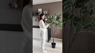 #ikeafinds #ikea #fejka #fakeplants #kitchendecor #kitchen #interiordesign #homedecor