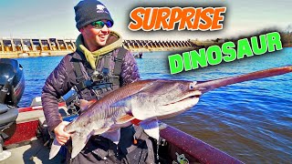 SPRING Walleye Fishing 2020 - SURPRISE CATCH!!!