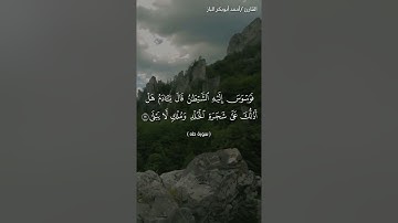 تلاوة رائعه لما تيسر من سورة طه للقارئ الشيخ /أحمد أبوبكر الباز