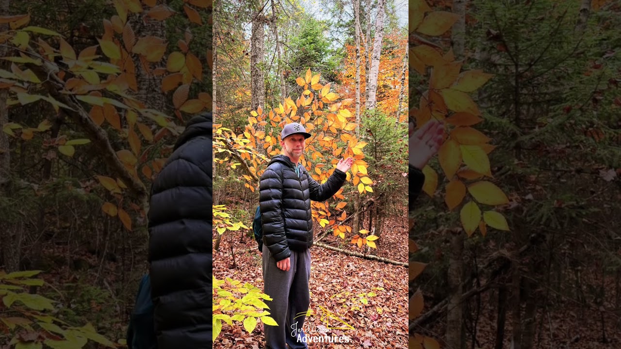 NY Fall Hike 2025 October  ￼