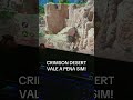 Crimson desert vale a pena sim!