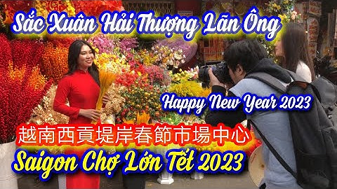 Sắc Xuân Hải Thượng Lãn Ông Chợ Lớn Sài Gòn / Chợ Tết Sài Gòn Việt Nam / 越南西貢堤岸春節市場中心