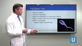 Improving Fertility in Men with Poor Sperm Count | Jesse Mills, MD | UCLAMDChat screenshot 1