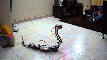 Robot serpiente 3