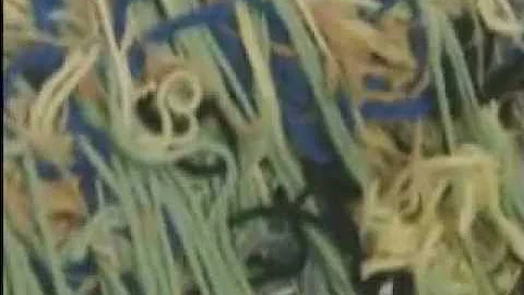 Outsider  The Life and Art of Judith Scott   preview