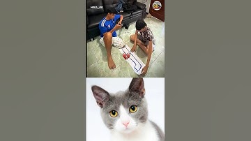 #actingchallenge #highsandlows #filterchallenge #reelschallenge 🤣 #guessthesong