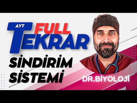 #Sindirim Sistemi AYT Biyoloji Full Tekrar | 2024 | #drbiyoloji