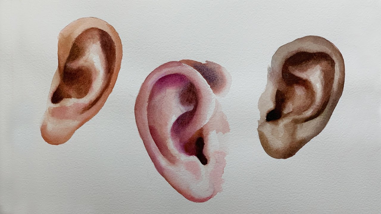 How to paint "Ears" in watercolor. YouTube