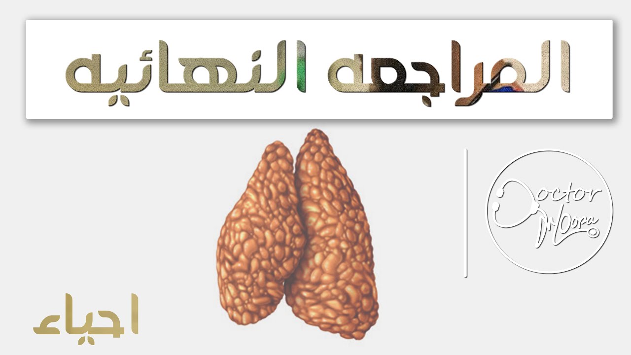 شرح مكثف الهرمونات في الانسان كاملا