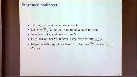 Mathematical Models in Population Genetics II