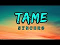 Synchr0 tame official audio music