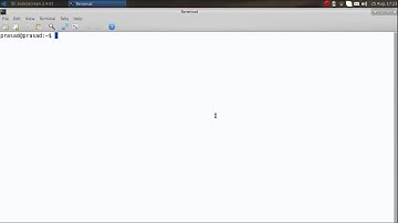 Firefox version in Linux - How to get the version of an application