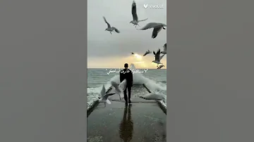 حالات واتس اب مهرجانات حالات جديده شاشه سوداء لا نسيتك ولا عارف أنساكي Trendingshorts Edit 