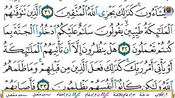 (07) تلاوة بصوت القارئ هزاع البلوشي سورة النحل، الآيات:32-34
