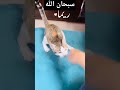 القطاريما خلقت بلا ايدين سبحان الله
