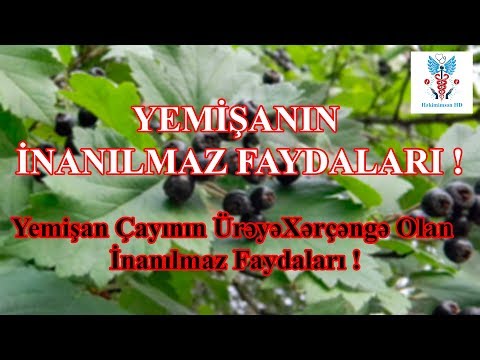 Video: Yemişan Meyvəsi Necə Dəmlənir