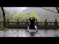 Authentic Wudang Tai Chi 28