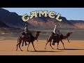 Camel Rajaz Unofficial Music Video 