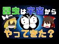 【ゆっくり解説】昆虫は宇宙からやってきた？虫の誕生の歴史を探ってみた