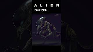 Alien - Разведчик  #Alien #Aliens #Alienisolation #Aliendarkdescent #Facehugger  #Чужой #Aliendrone