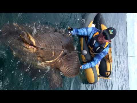 LittlePoles #fypシ゚viral cars 2 Fishing Pole VS Goliath Grouper