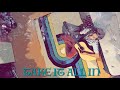 Take it all in  evy alley official music