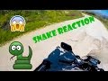 Snake Reaction