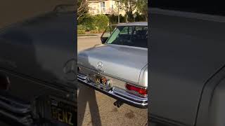 IMG 3192
