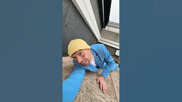 A Duck Left Me A Baby From The Streets 