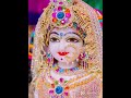 Radha Radha #brijbihari #brindaban #premanandmaharaj #radharani #sreeradhabhajan 🪷🌹🌸🙏♥️♥️♥️♥️♥️♥️♥️