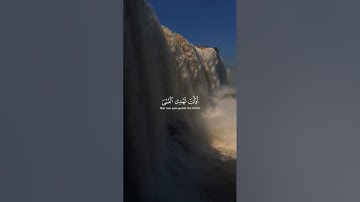 سورة يونس الآية {43 ، 44} | أفأنت تهدي العمي ولو كانوا لا يبصرون | بصوت القارئ عبدالرحمن مسعد