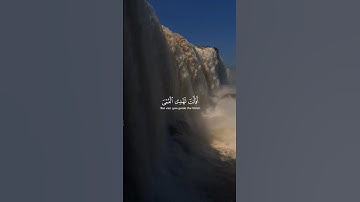 سورة يونس الآية {43 ، 44} | أفأنت تهدي العمي ولو كانوا لا يبصرون | بصوت القارئ عبدالرحمن مسعد
