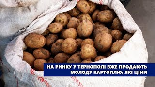 На ринку у Тернополі вже продають молоду картоплю: які ціни
