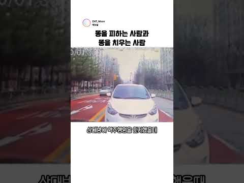 똥을 피하는 사람과 똥을 치우는 사람 #블랙박스 thumbnail
