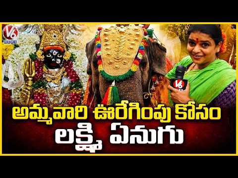 Simhavahini Mahankali Ammavaru Procession With Lakshmi Elephant | Lal Darwaza Bonalu | V6 News - V6NEWSTELUGU