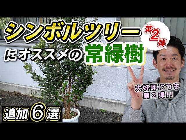 6 new evergreen symbolic trees added] Introducing the second