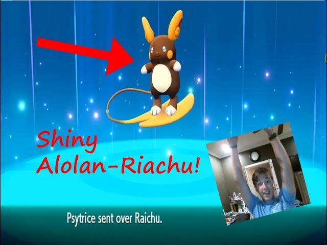 Pokemon Let's Go Shiny Alolan Raticate 6IV-AV Trained