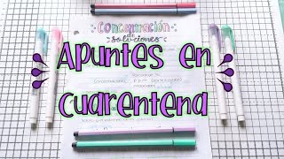 Apuntes en cuarentena/ haz un apunte bonito/ letra bonita/ studygram / titulo sin lettering/ notes
