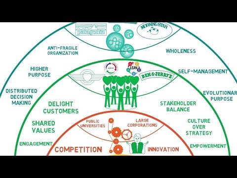 Video: Co Je Teorie Organizace