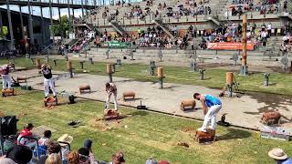 Sydney Royal Easter show 2024 Male Woodchopping #sydneyroyaleastershow2024 by aussiebuzz 246 views 1 month ago 31 seconds