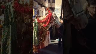 Janab
