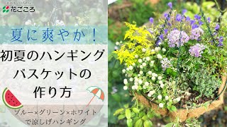 【簡単】初夏のハンギングバスケットの作り方【爽やか】