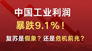 中国5月工业利润暴跌9.1%：复苏是假象？还是危机前兆？