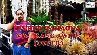 Pa'risi' Tamaona, Cipt. Ridwan Sau, Cover by Kang Awing #fyp #laguviral #coverlagu #pengikut