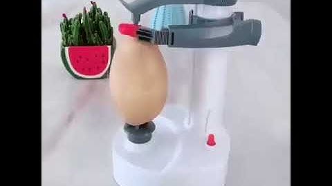 Máy gọt hoa quả đa năng Rapid Peeler – Hàng nhập khẩu chính hãng