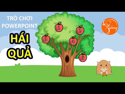 Video: Cách Tạo Một Màn Hình Hoạt động