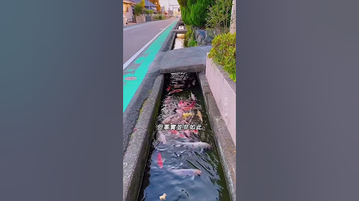 日本的排水溝真的清澈嗎？