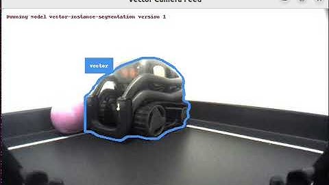 Instance segmentation on a feed from Vector