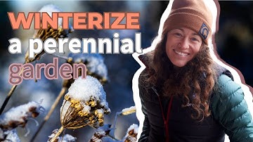 Fall clean up: winterizing a perennial garden